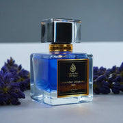 Lavender Odyssey 869